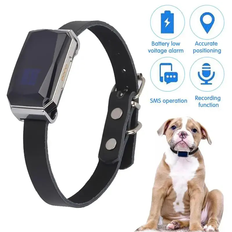 Black pet collar with rectangular digital display. Symbols for Battery alarm, accurate positioning, SMS capabilities, and recording functions. A picture of a dog wearing the collar.