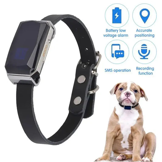 Black pet collar with rectangular digital display. Symbols for Battery alarm, accurate positioning, SMS capabilities, and recording functions. A picture of a dog wearing the collar.